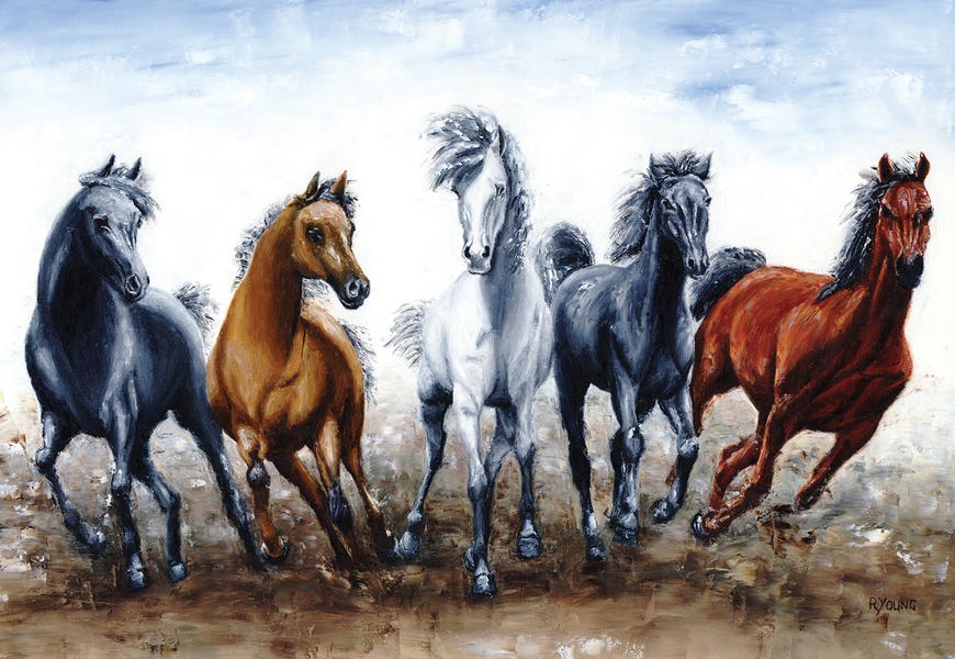 Wild Arabians by Richard Young