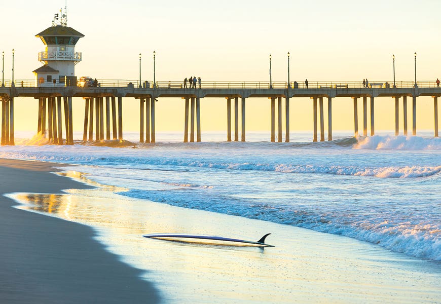 Huntington Beach Pier by Sean Davey
