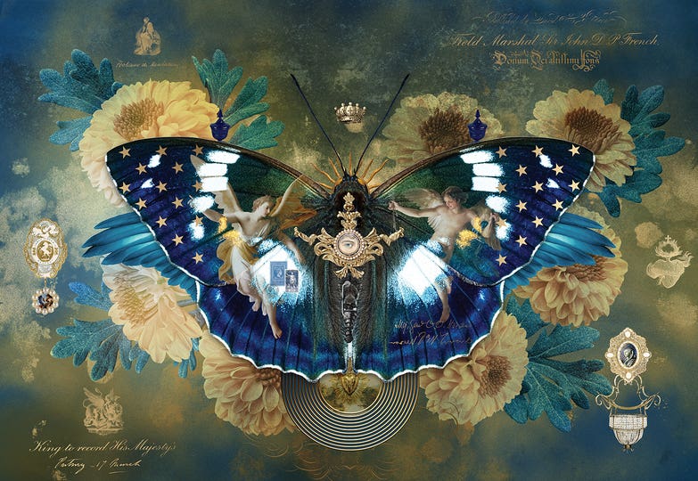 Nature Renewal feature Collections