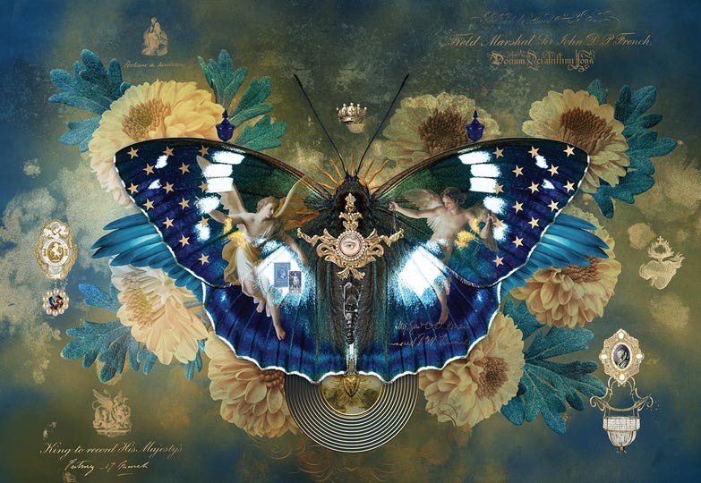 Nature Renewal feature Collections