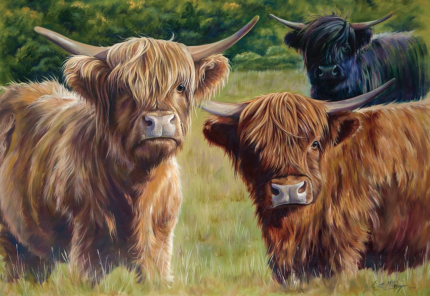 Brambles, Bracken And Fern by Scott McGregor