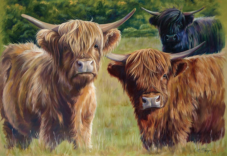 Brambles, Bracken And Fern by Scott McGregor