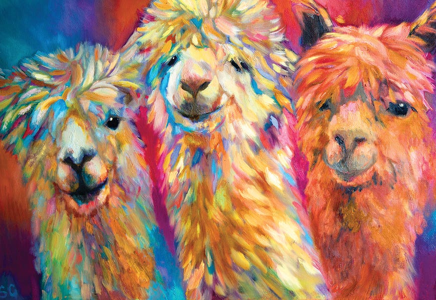 Three Alpacas by Sue Gardner