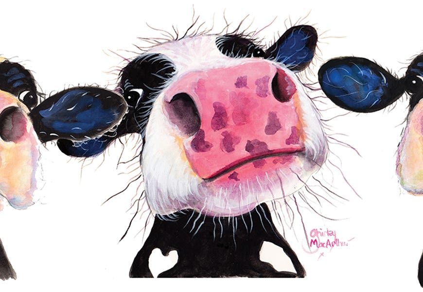 The Nosey Cows by Shirley MacArthur