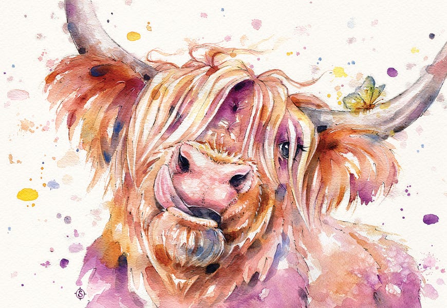 Bad Hair Don't Care (Scottish Highland Cow) by Sillier Than Sally