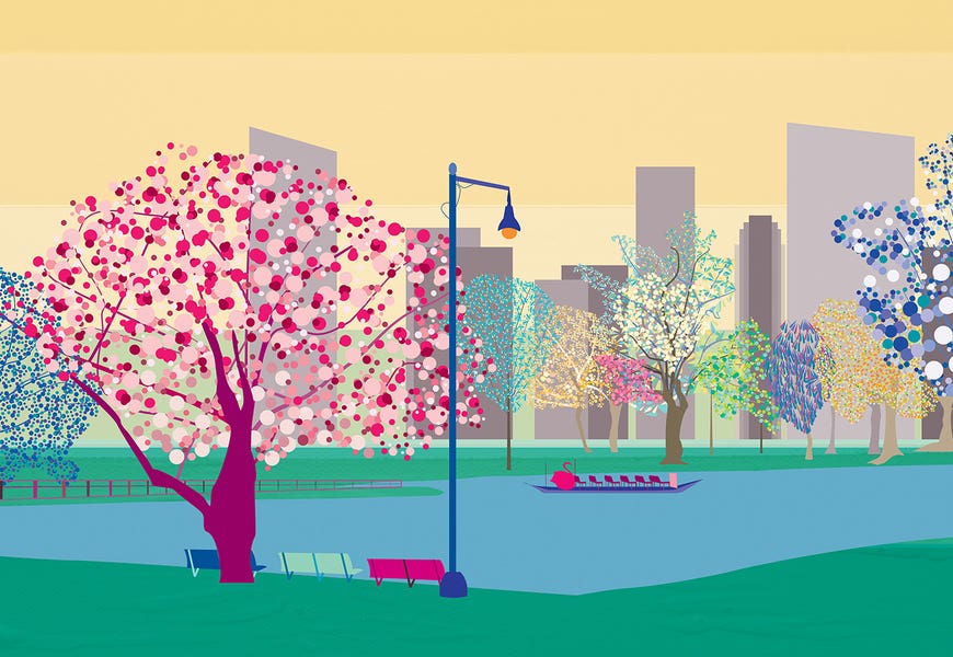 Boston Public Garden by South Island Art