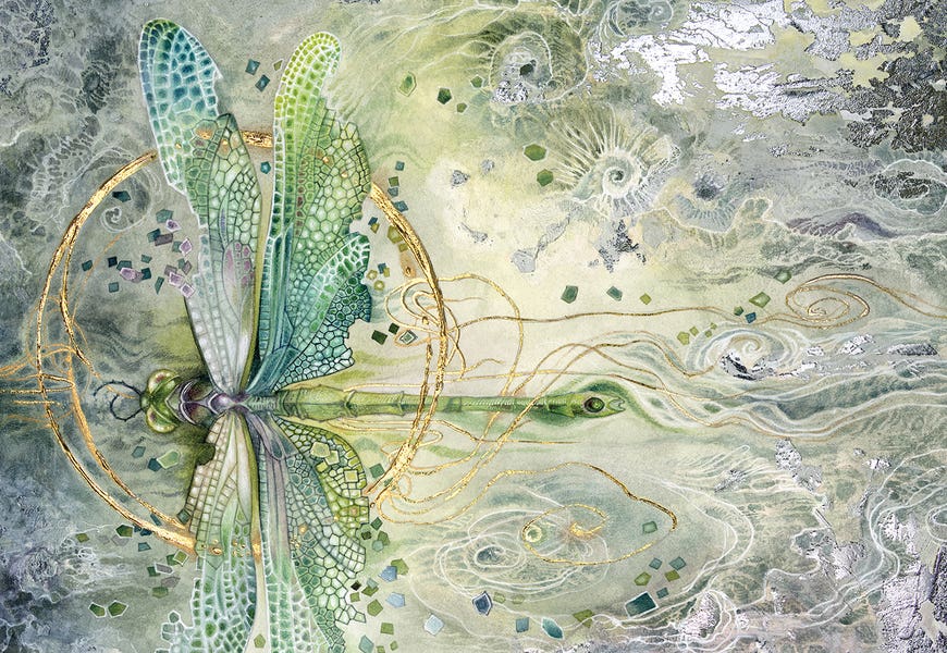 Transition by Stephanie Law