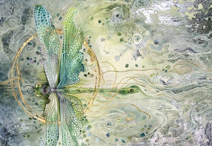 Transition by Stephanie Law
