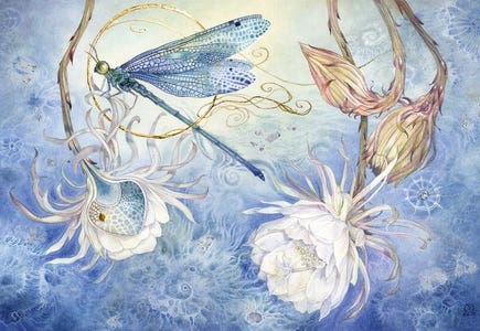 Stephanie Law