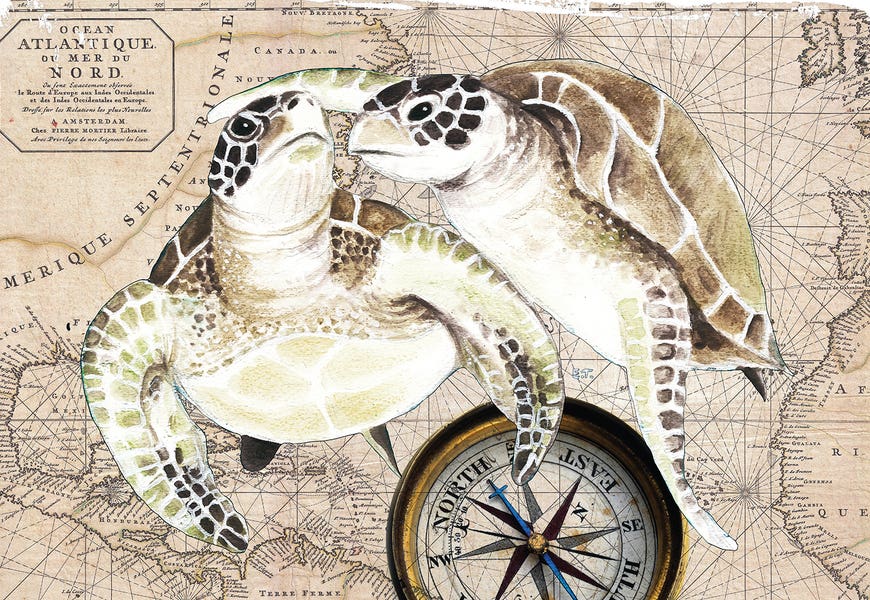 Sea Turtles Love Vintage Map Compass by Seven Sirens Studios