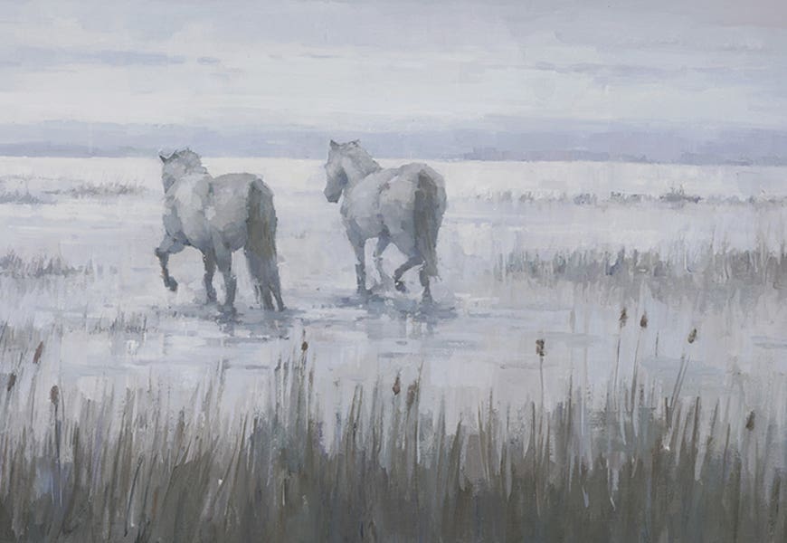 The Seekers by Steve Mitchell