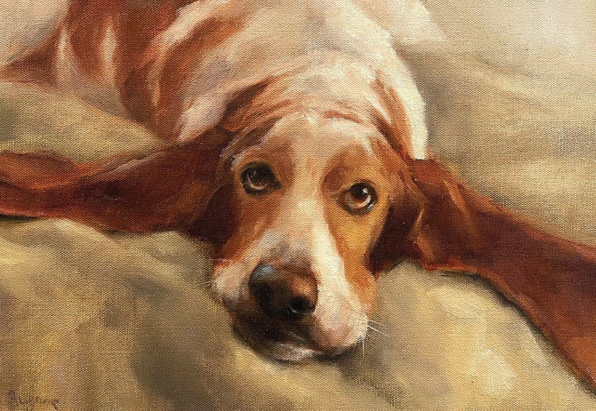 All About Ears by Suzanne Sheran