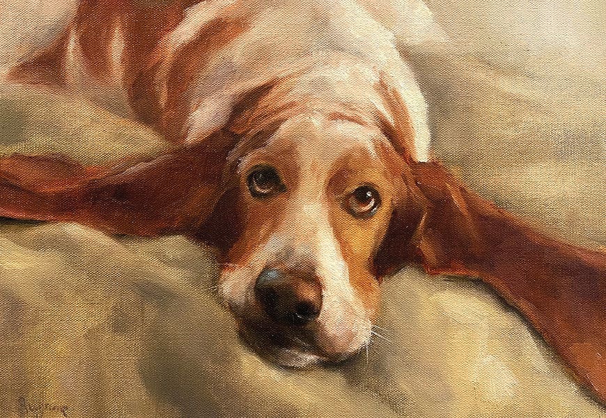 All About Ears by Suzanne Sheran