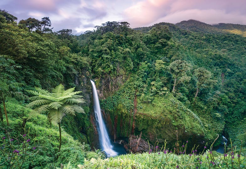 Catarata Del Toro Waterfall, Costa Rica by Matteo Colombo