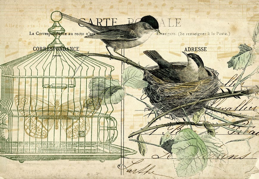 Bird Cage And Nest I by Tina Higgins