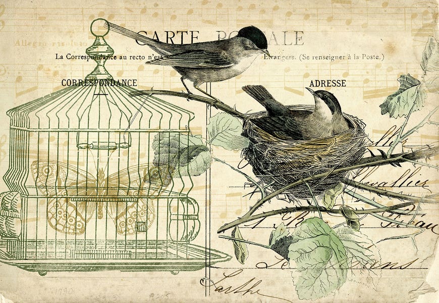 Bird Cage And Nest I by Tina Higgins