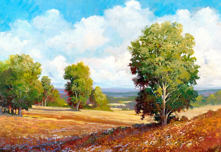 Landscape I by Tim Johnson