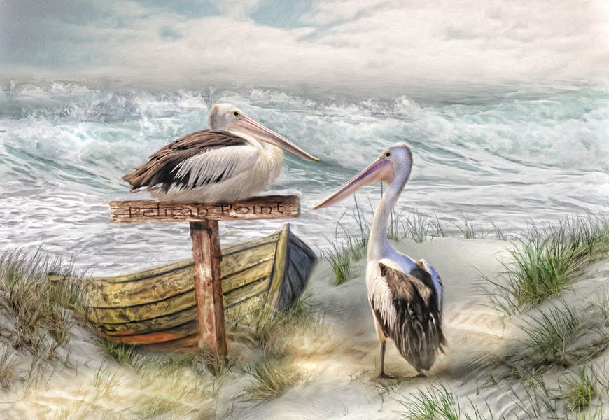 Pelican Point by Trudi Simmonds