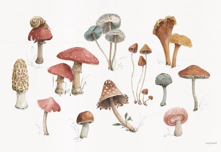 Watercolor