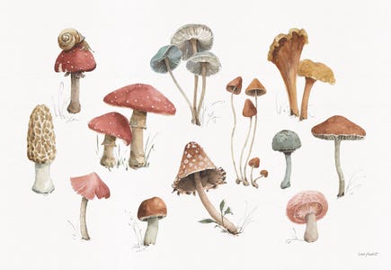 Watercolor