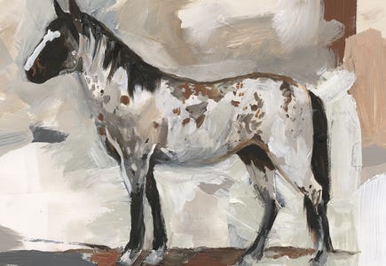 Horses