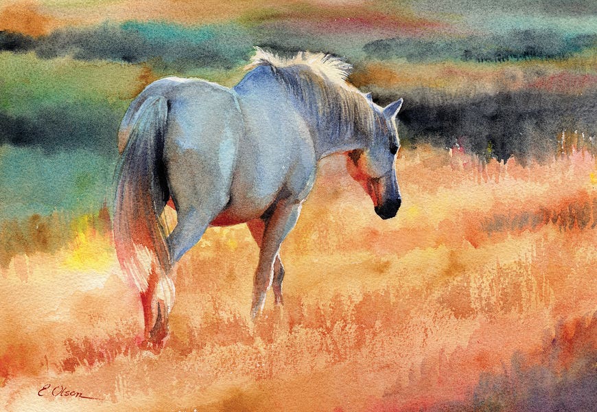 White Horse In Golden Fields by Emily Olson