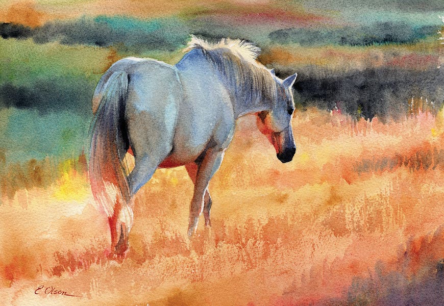 White Horse In Golden Fields by Emily Olson