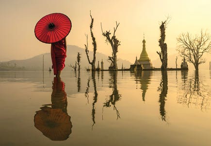 Magic Morning by iCanvas Artist Zay Yar Lin
