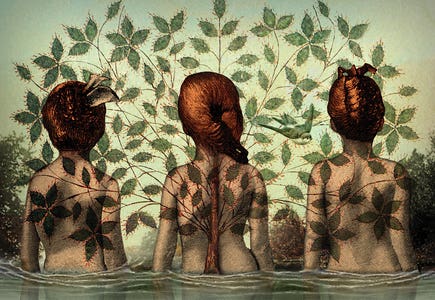 Catrin Welz Stein