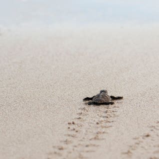 Minimalist Bathroom Art