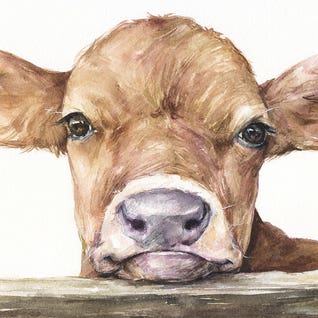 Calf by George Dyachenko