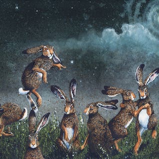 Moondance by Maggie Vanderwalle