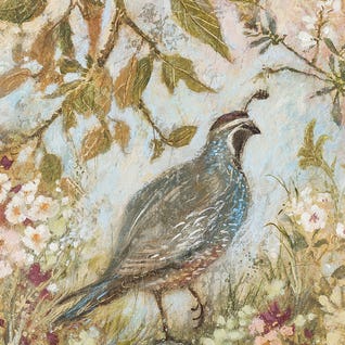 Quail Steps Out by Lisa Marie Kindley
