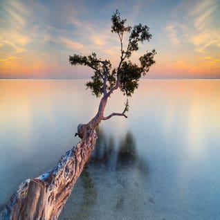 Fine Art Photography