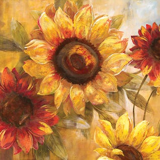 Sunflower Cheer by Nan