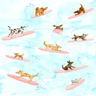 Dogs Surfing by Sabina Fenn