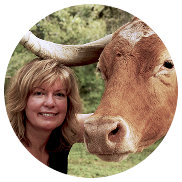 iCanvas - Artist: Jan Perley