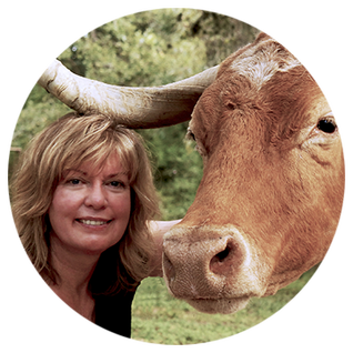 iCanvas - Artist:  Jan Perley