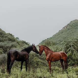 Touching Lines by Anna Archinger