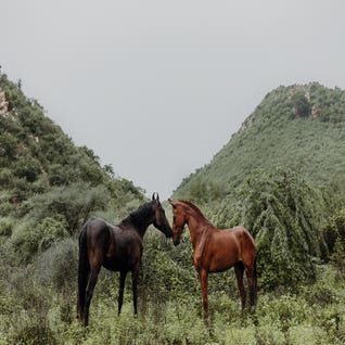 Touching Lines by Anna Archinger