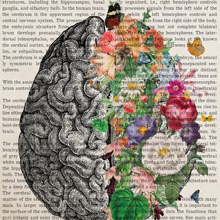 Brain Art Flower Anatomy Print by Aged Pixel