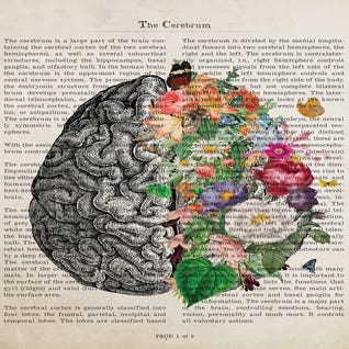 Brain Art Flower Anatomy Print by Aged Pixel