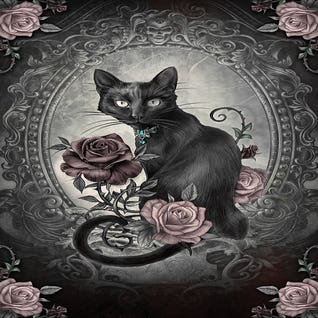 Black Cat Art