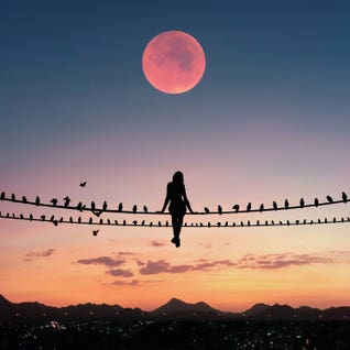 Bird On The Wire by Abdullah Evindar