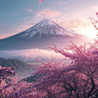 Nikita Abakumov RO164 Square