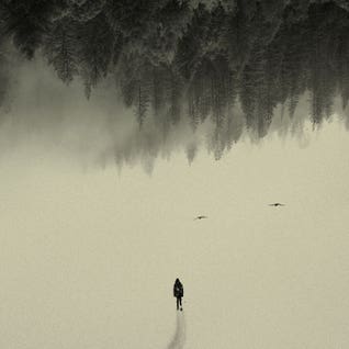 Double Exposure Photography Square