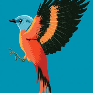 Tropical Decor Wood Prints