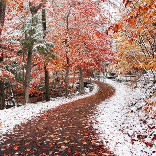 Two Seasons by Ben Heine