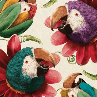 Flower Parrot by Beto Val