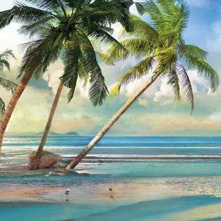 Trending Beaches -  HP Jan 26